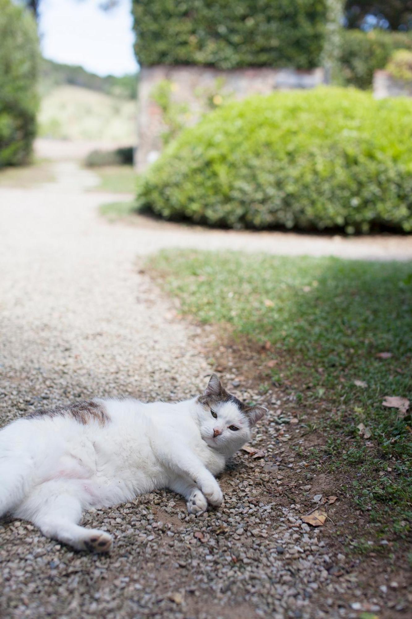 Agriturismo Bio Podere Doganelle Giuncarico エクステリア 写真